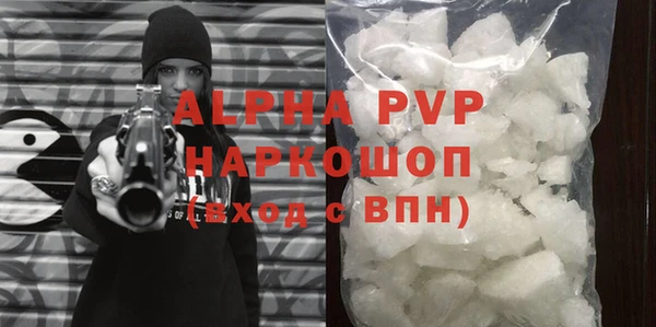 индика Богородск