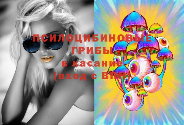 ешки Бугульма